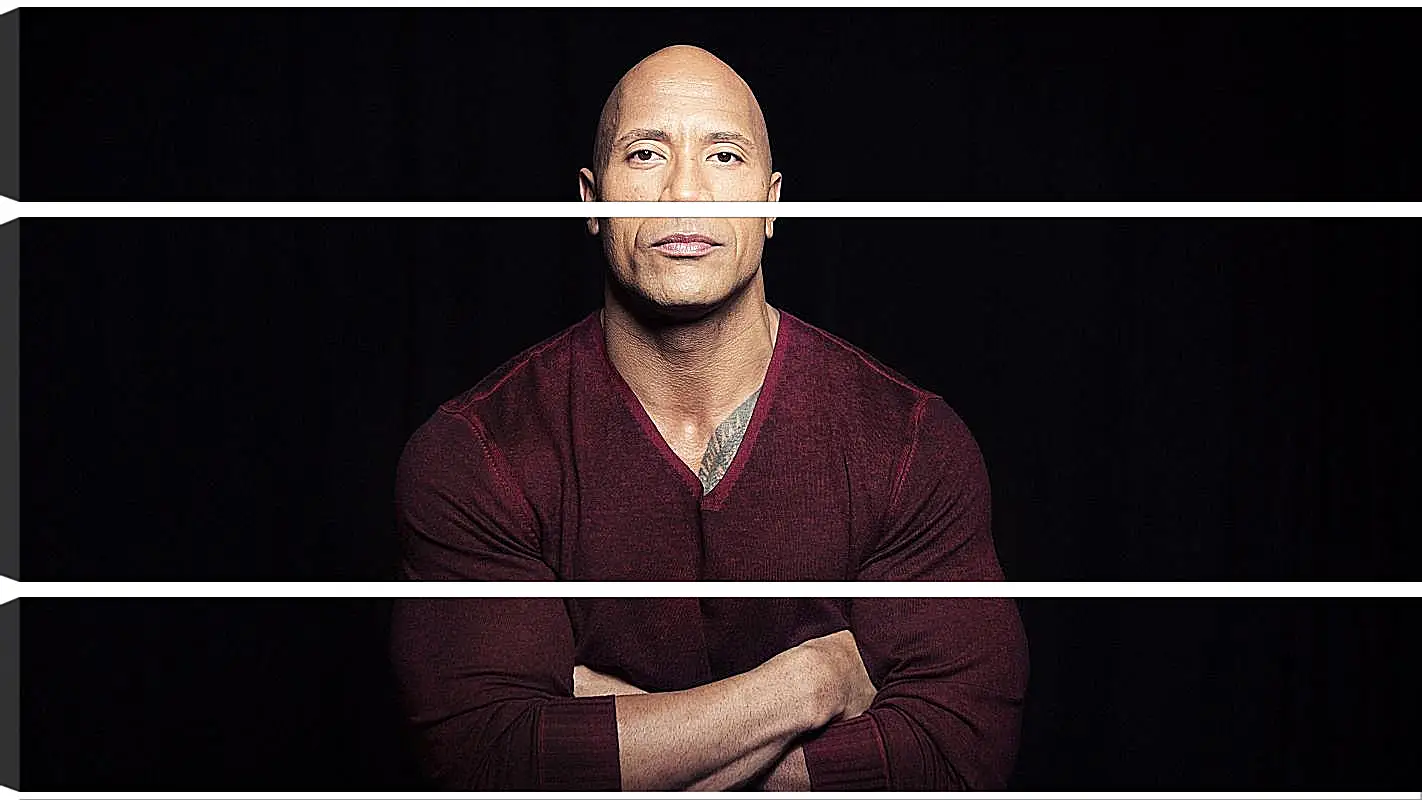 Модульная картина - Dwayne Douglas Johnson. Дуэйн Джонсон (Скала)