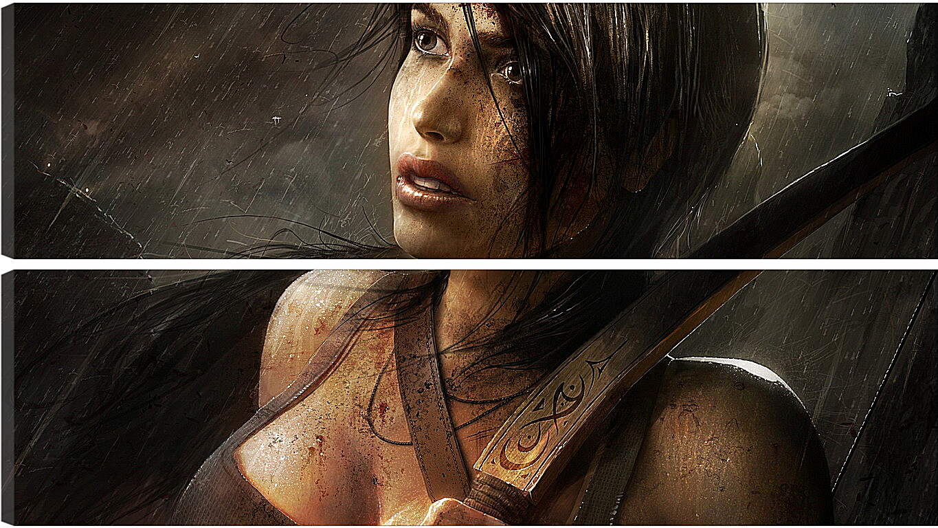 Модульная картина - Tomb Raider (2013)