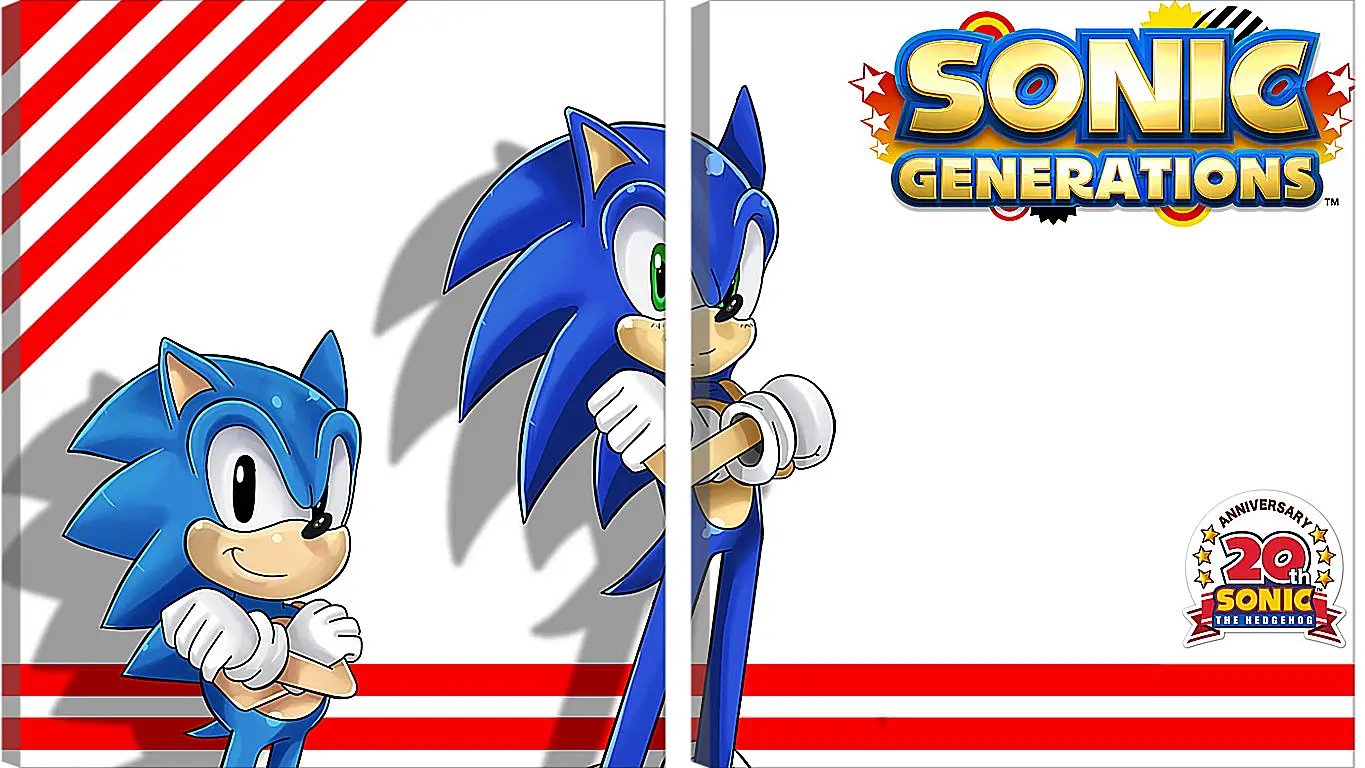 Модульная картина - Sonic Generations
