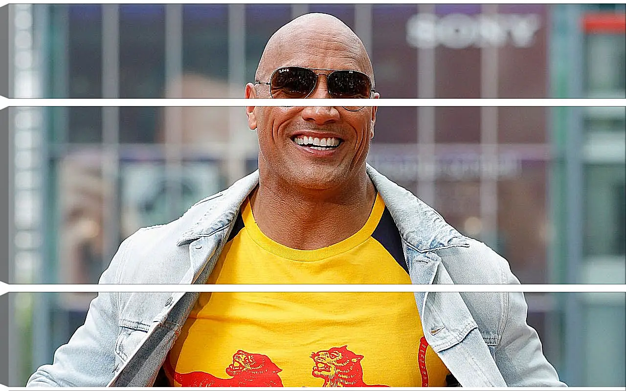 Модульная картина - Dwayne Douglas Johnson. Дуэйн Джонсон (Скала)