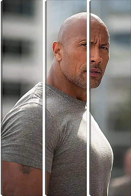 Модульная картина - Dwayne Douglas Johnson. Дуэйн Джонсон (Скала)