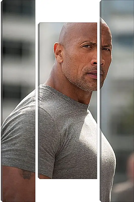 Модульная картина - Dwayne Douglas Johnson. Дуэйн Джонсон (Скала)