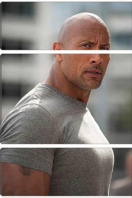 Модульная картина - Dwayne Douglas Johnson. Дуэйн Джонсон (Скала)