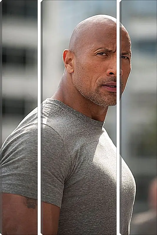 Модульная картина - Dwayne Douglas Johnson. Дуэйн Джонсон (Скала)