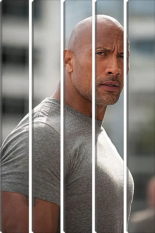 Модульная картина - Dwayne Douglas Johnson. Дуэйн Джонсон (Скала)