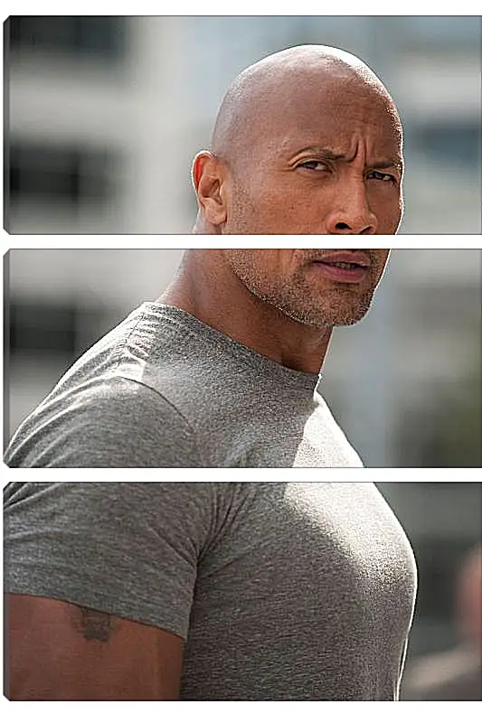 Модульная картина - Dwayne Douglas Johnson. Дуэйн Джонсон (Скала)