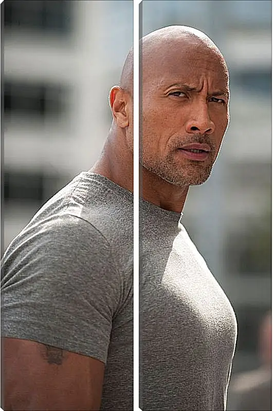 Модульная картина - Dwayne Douglas Johnson. Дуэйн Джонсон (Скала)