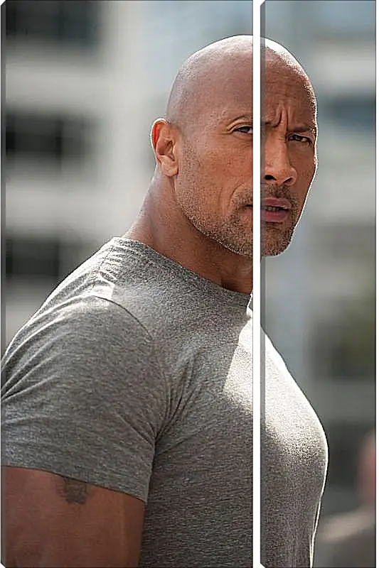 Модульная картина - Dwayne Douglas Johnson. Дуэйн Джонсон (Скала)