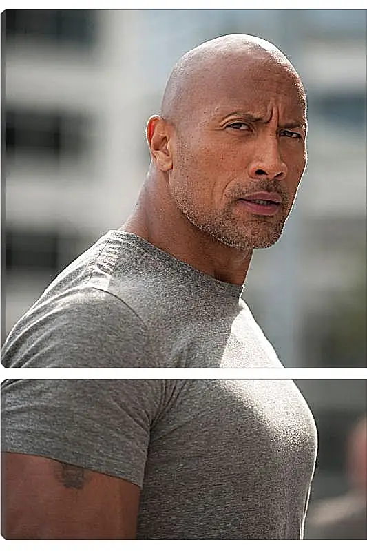 Модульная картина - Dwayne Douglas Johnson. Дуэйн Джонсон (Скала)