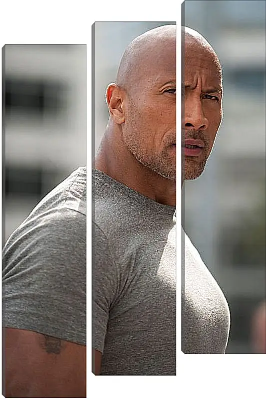 Модульная картина - Dwayne Douglas Johnson. Дуэйн Джонсон (Скала)