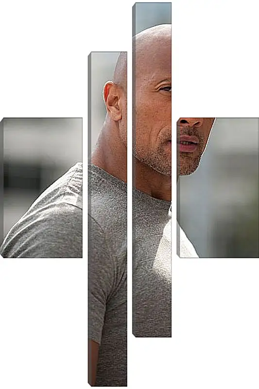 Модульная картина - Dwayne Douglas Johnson. Дуэйн Джонсон (Скала)