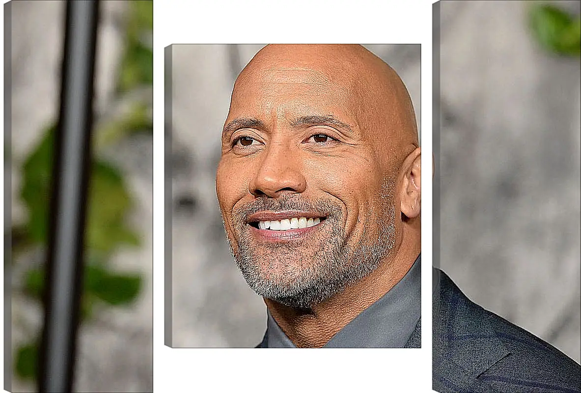 Модульная картина - Dwayne Douglas Johnson. Дуэйн Джонсон (Скала)