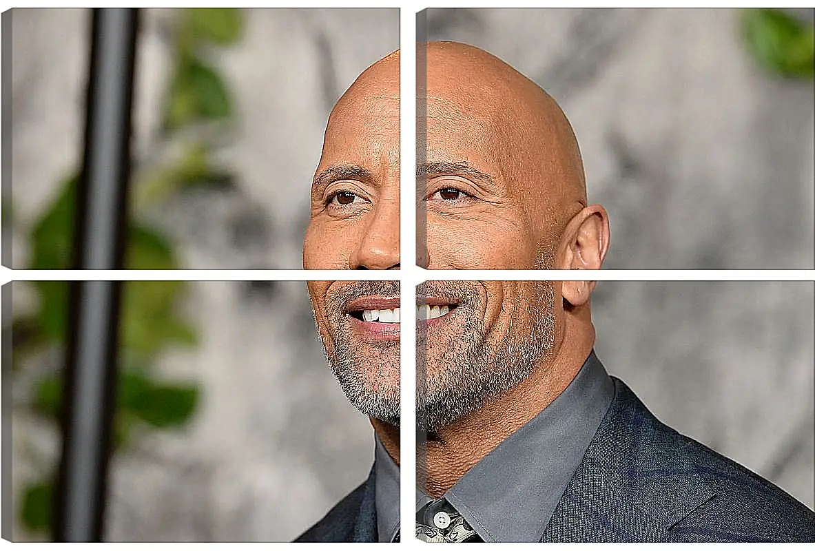 Модульная картина - Dwayne Douglas Johnson. Дуэйн Джонсон (Скала)