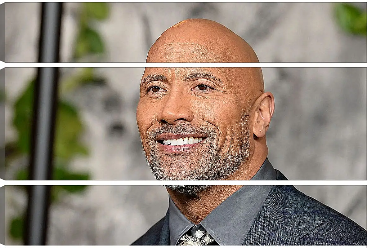 Модульная картина - Dwayne Douglas Johnson. Дуэйн Джонсон (Скала)