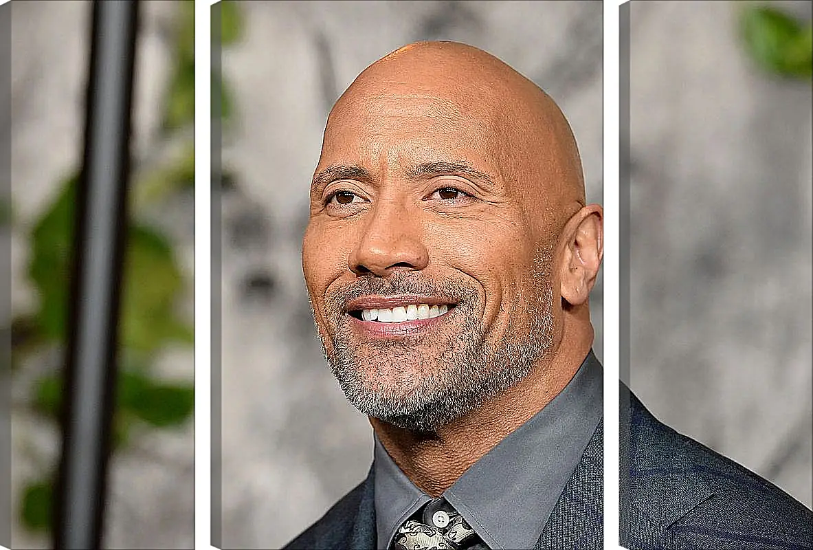 Модульная картина - Dwayne Douglas Johnson. Дуэйн Джонсон (Скала)