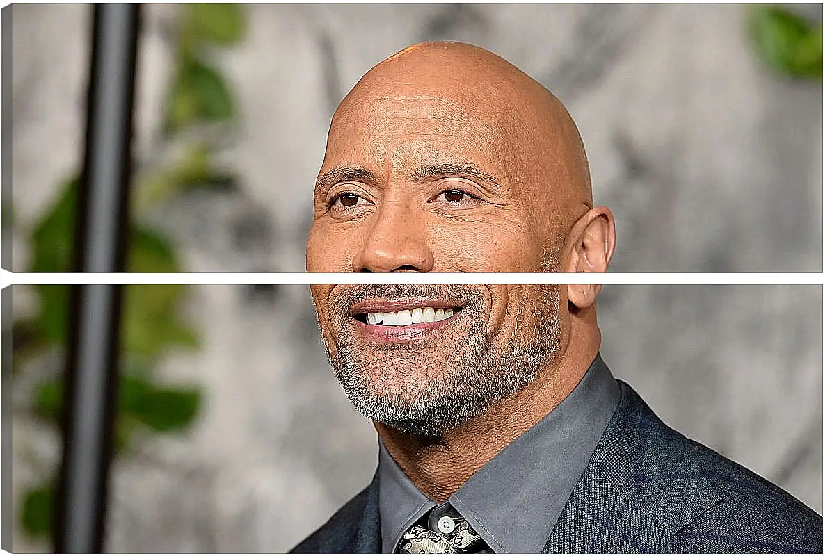 Модульная картина - Dwayne Douglas Johnson. Дуэйн Джонсон (Скала)