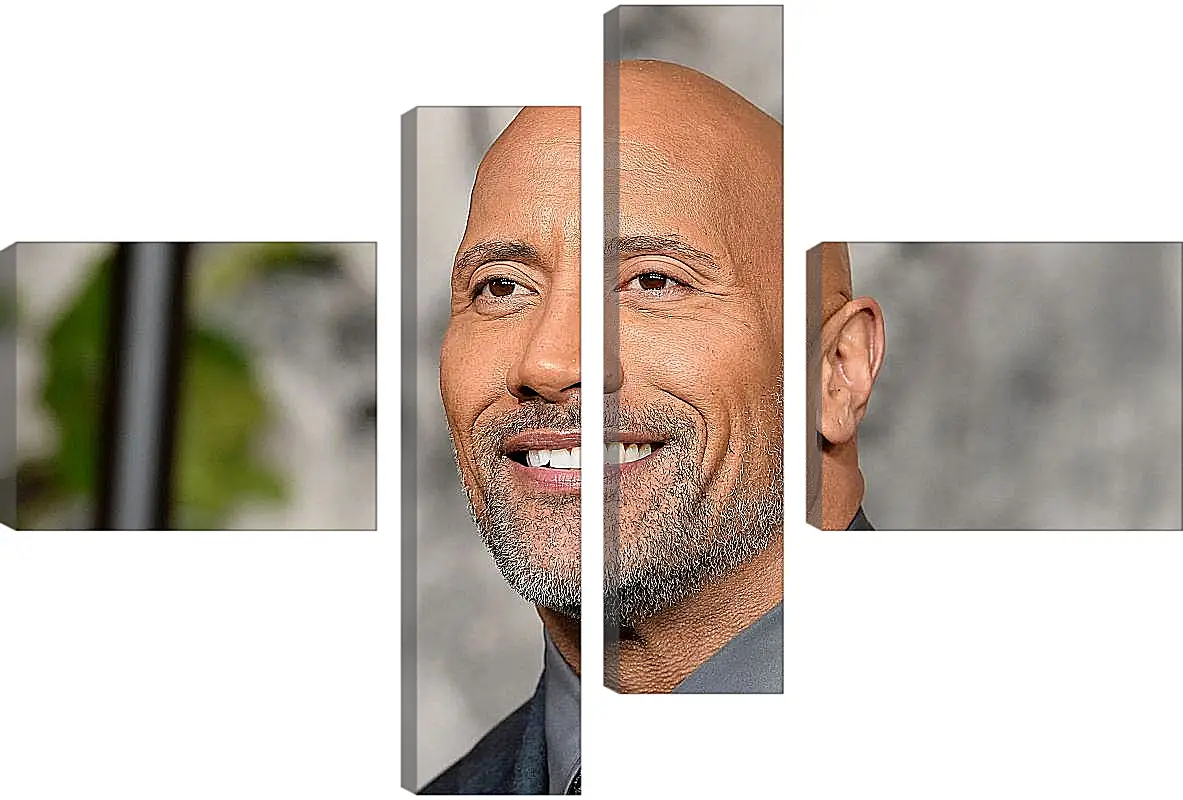 Модульная картина - Dwayne Douglas Johnson. Дуэйн Джонсон (Скала)