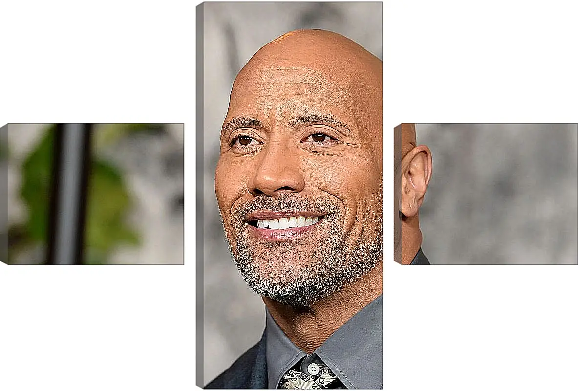 Модульная картина - Dwayne Douglas Johnson. Дуэйн Джонсон (Скала)