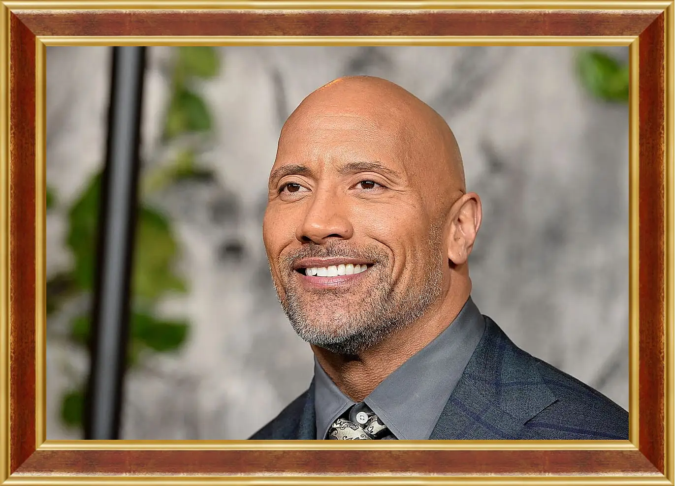 Картина в раме - Dwayne Douglas Johnson. Дуэйн Джонсон (Скала)