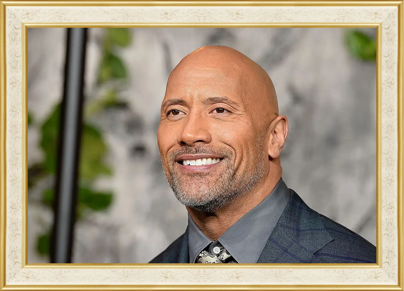 Картина в раме - Dwayne Douglas Johnson. Дуэйн Джонсон (Скала)