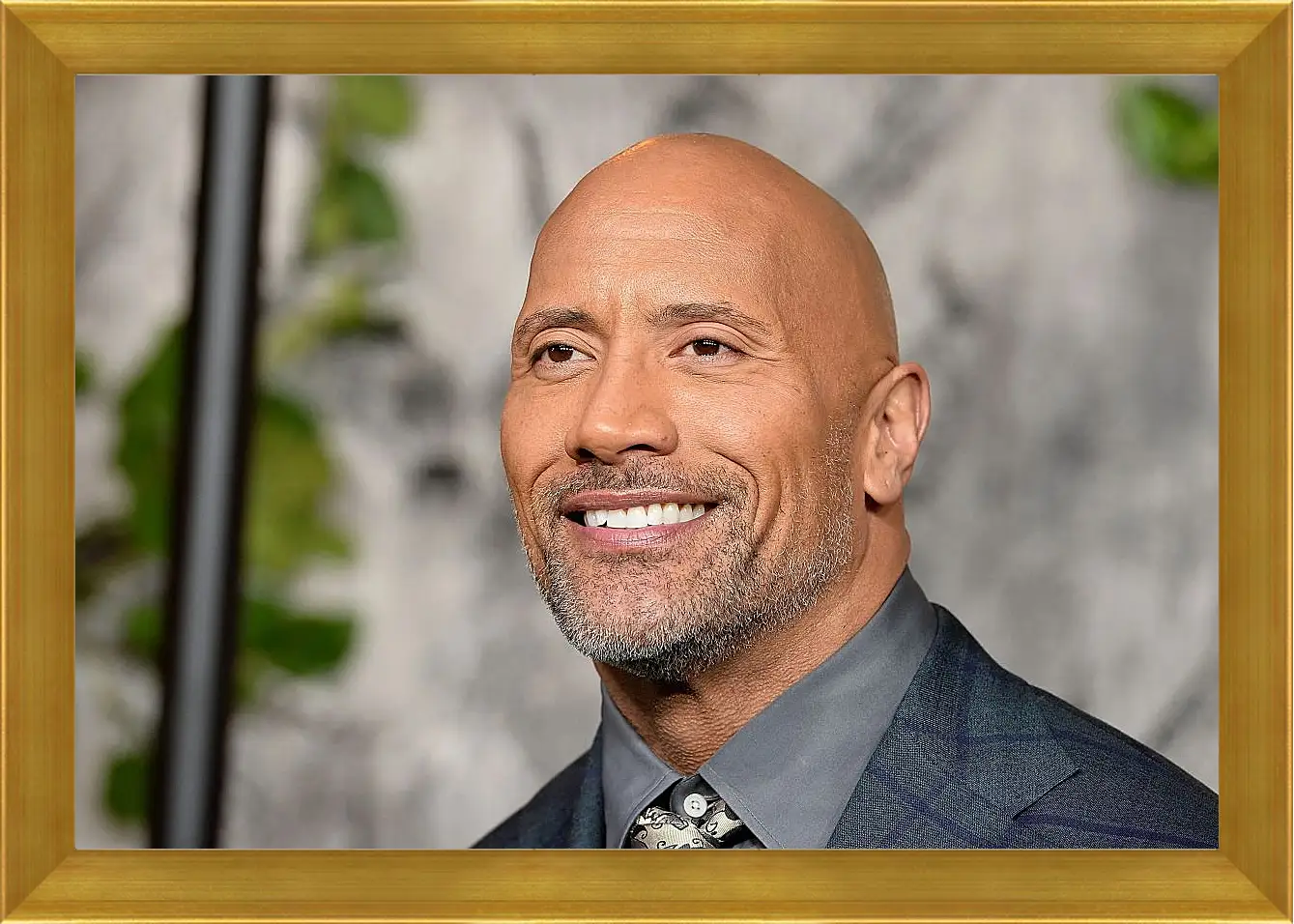 Картина в раме - Dwayne Douglas Johnson. Дуэйн Джонсон (Скала)