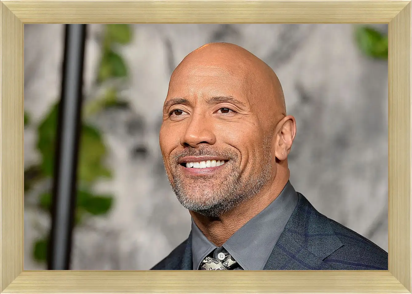 Картина в раме - Dwayne Douglas Johnson. Дуэйн Джонсон (Скала)