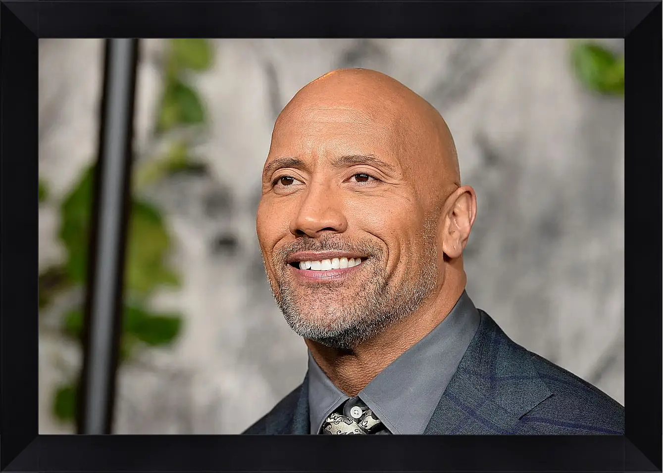 Картина в раме - Dwayne Douglas Johnson. Дуэйн Джонсон (Скала)