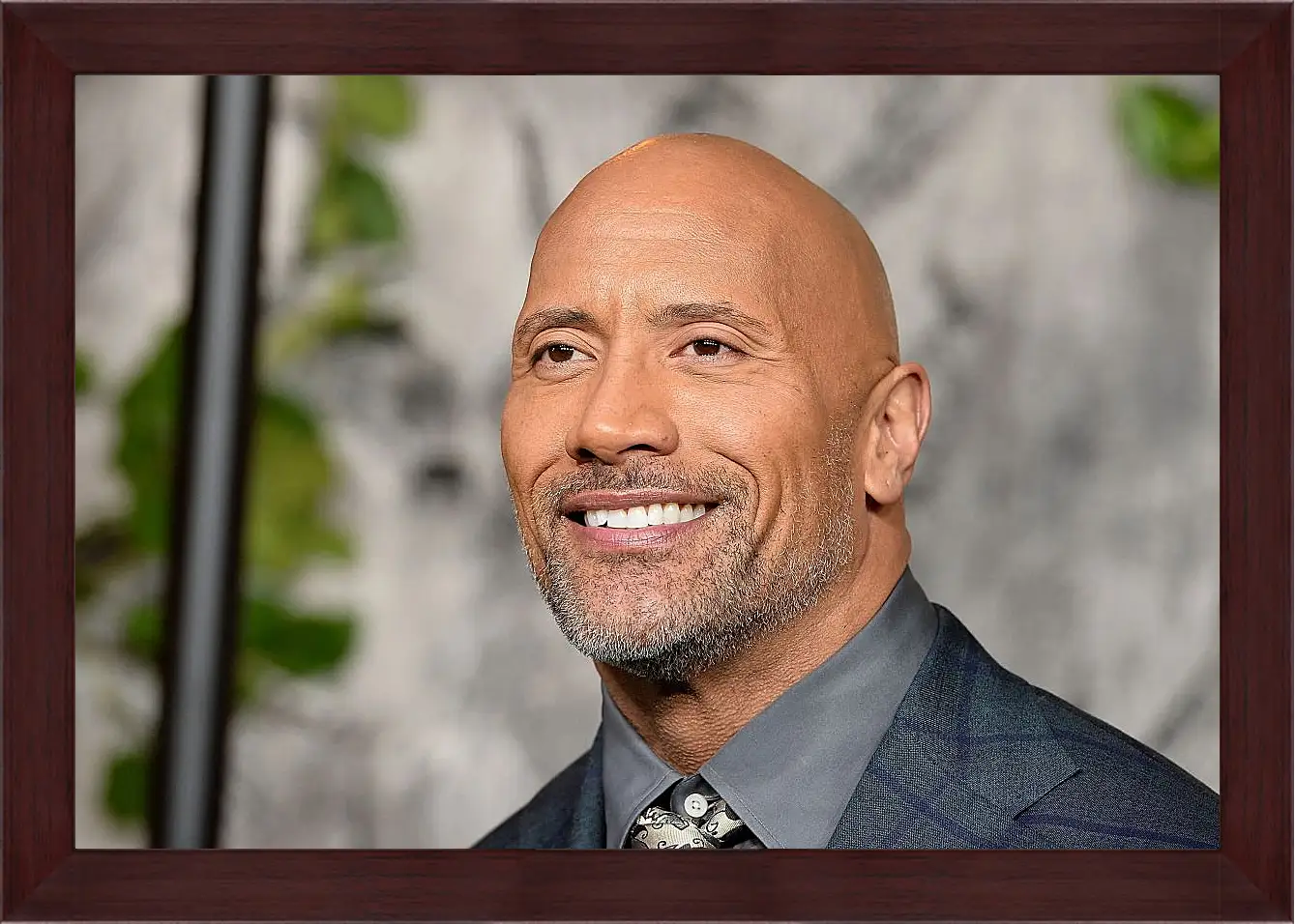 Картина в раме - Dwayne Douglas Johnson. Дуэйн Джонсон (Скала)