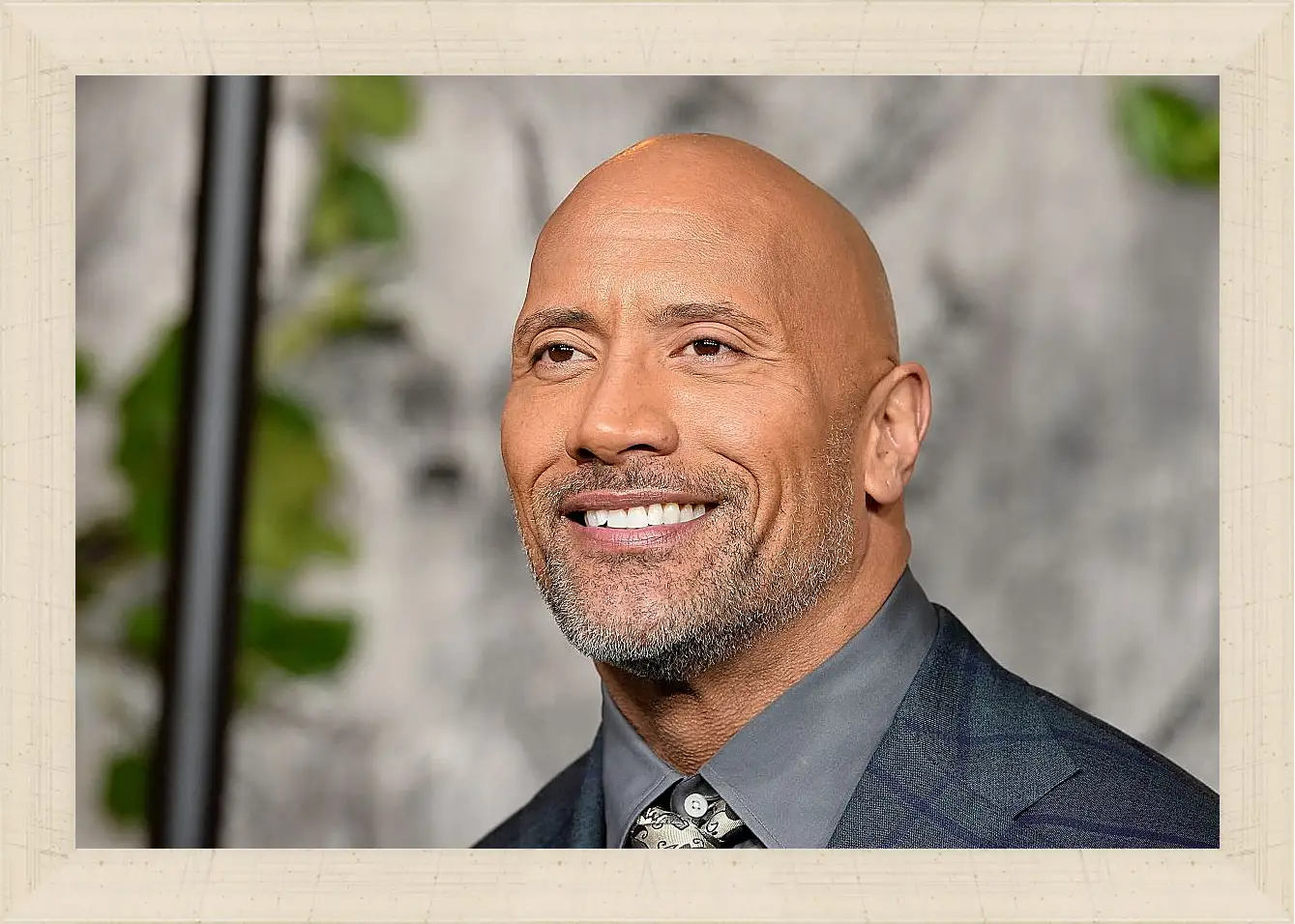 Картина в раме - Dwayne Douglas Johnson. Дуэйн Джонсон (Скала)