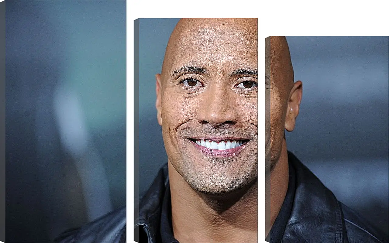 Модульная картина - Dwayne Douglas Johnson. Дуэйн Джонсон (Скала)