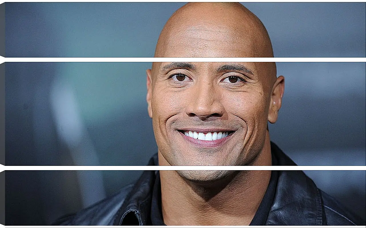 Модульная картина - Dwayne Douglas Johnson. Дуэйн Джонсон (Скала)