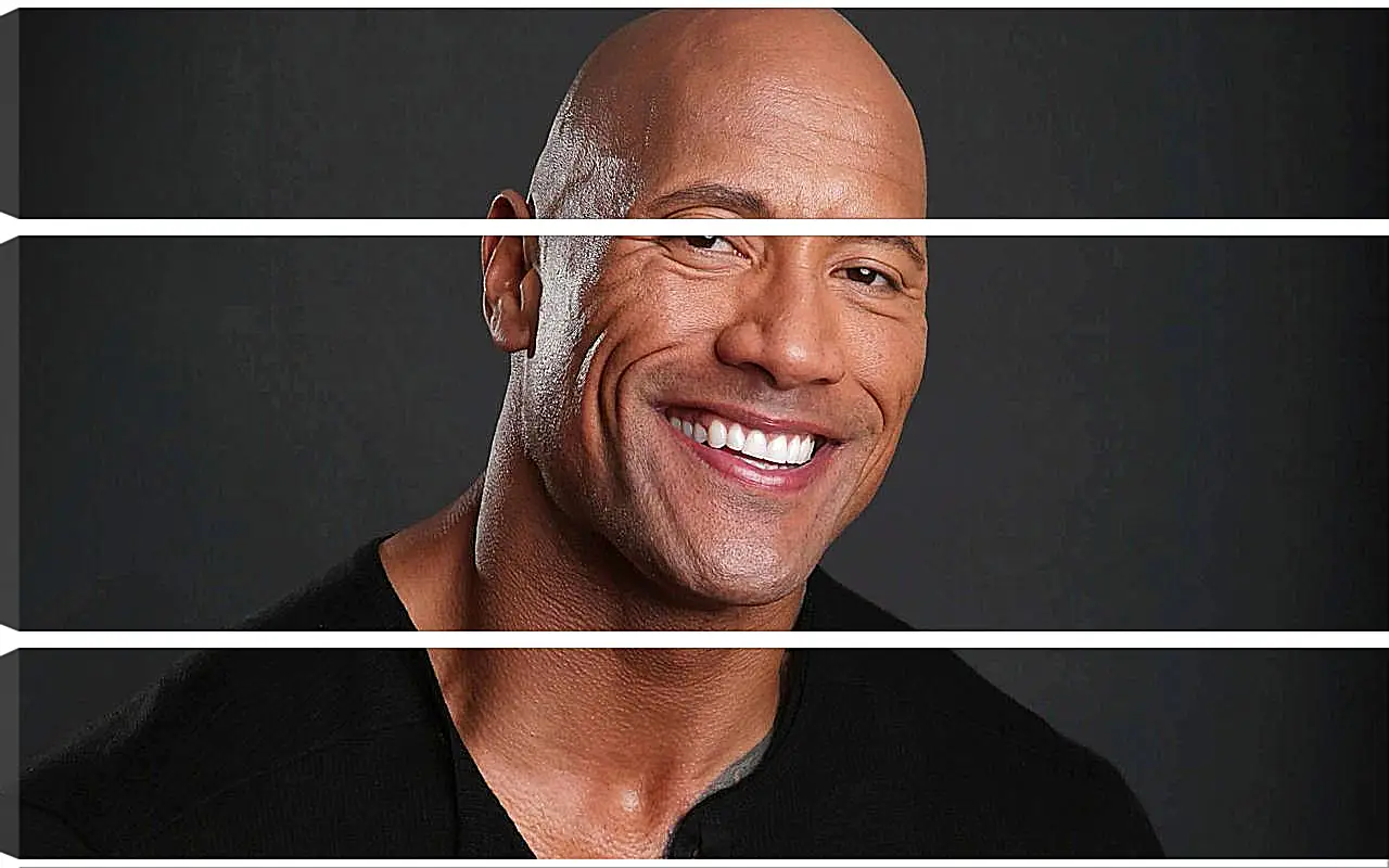 Модульная картина - Dwayne Douglas Johnson. Дуэйн Джонсон (Скала)