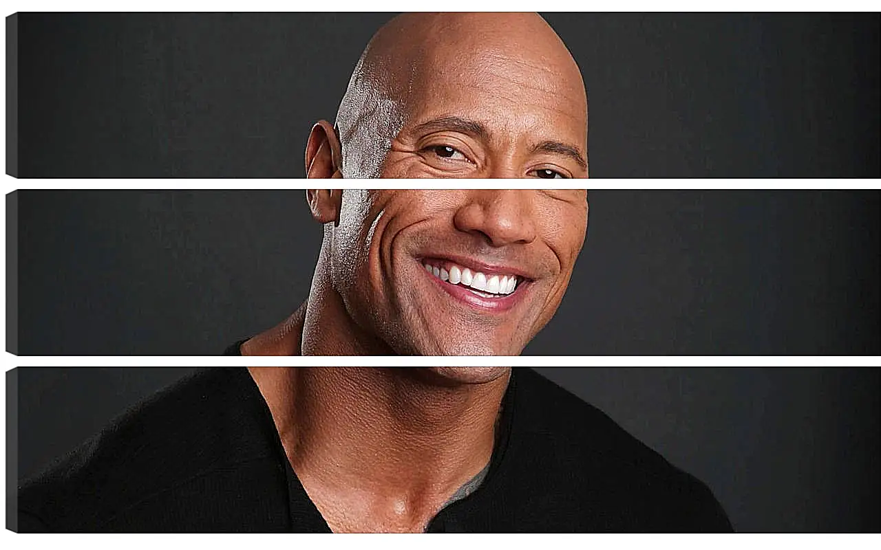 Модульная картина - Dwayne Douglas Johnson. Дуэйн Джонсон (Скала)