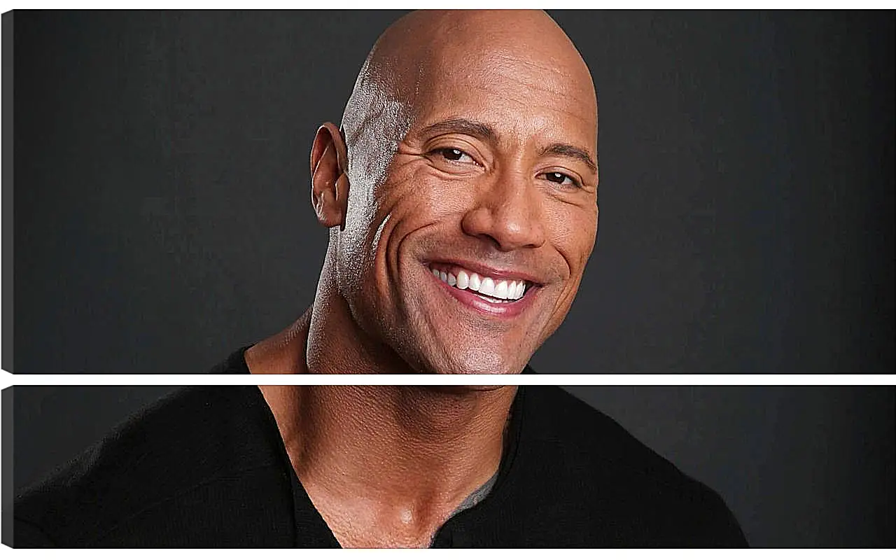 Модульная картина - Dwayne Douglas Johnson. Дуэйн Джонсон (Скала)