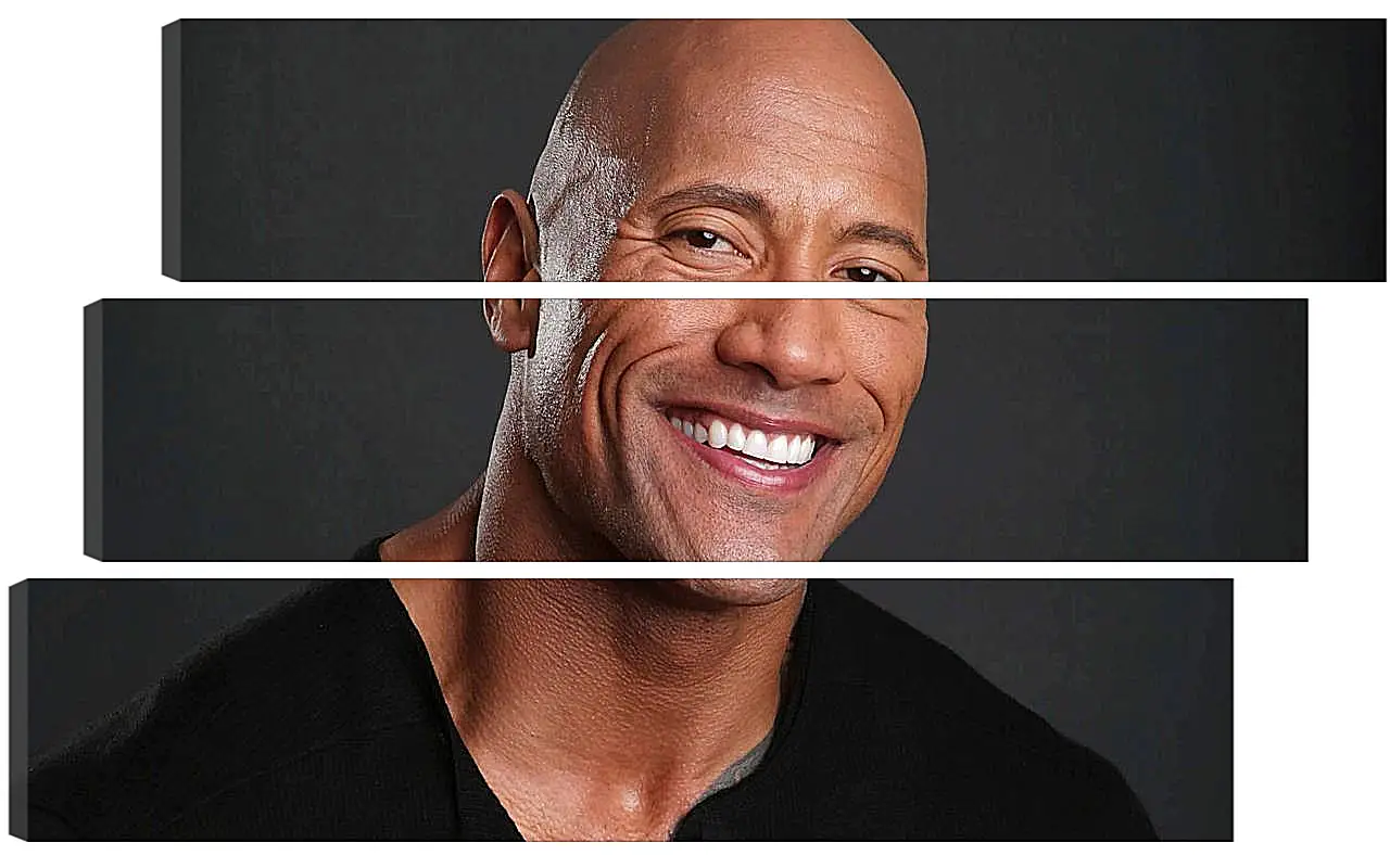 Модульная картина - Dwayne Douglas Johnson. Дуэйн Джонсон (Скала)