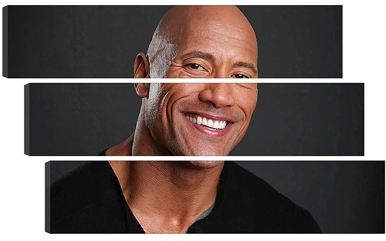 Модульная картина - Dwayne Douglas Johnson. Дуэйн Джонсон (Скала)