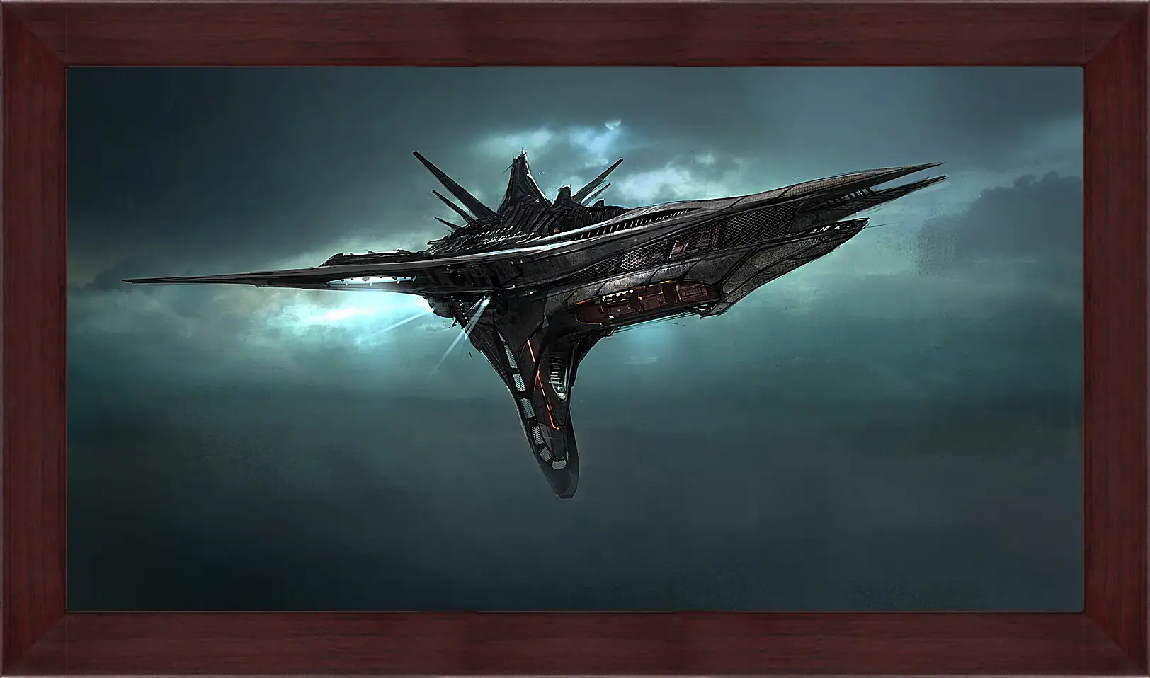 Картина в раме - Star Citizen
