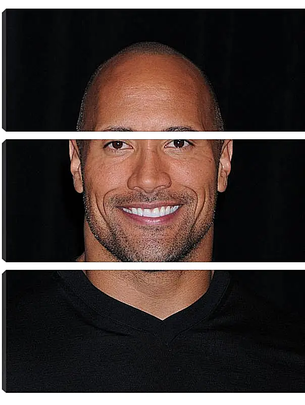 Модульная картина - Dwayne Douglas Johnson. Дуэйн Джонсон (Скала)