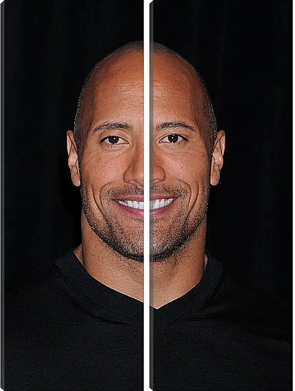 Модульная картина - Dwayne Douglas Johnson. Дуэйн Джонсон (Скала)