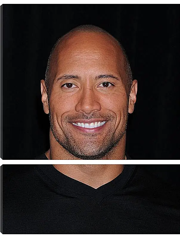Модульная картина - Dwayne Douglas Johnson. Дуэйн Джонсон (Скала)