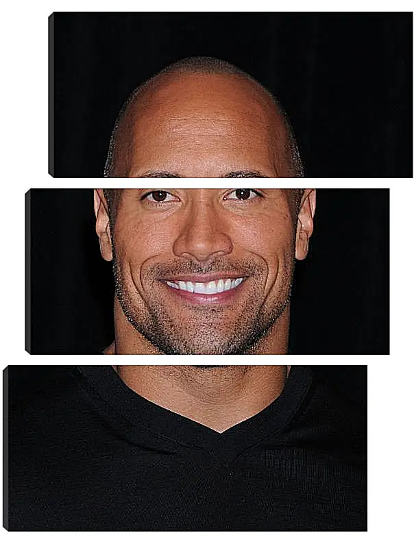 Модульная картина - Dwayne Douglas Johnson. Дуэйн Джонсон (Скала)