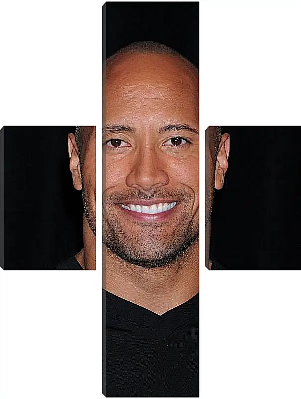 Модульная картина - Dwayne Douglas Johnson. Дуэйн Джонсон (Скала)