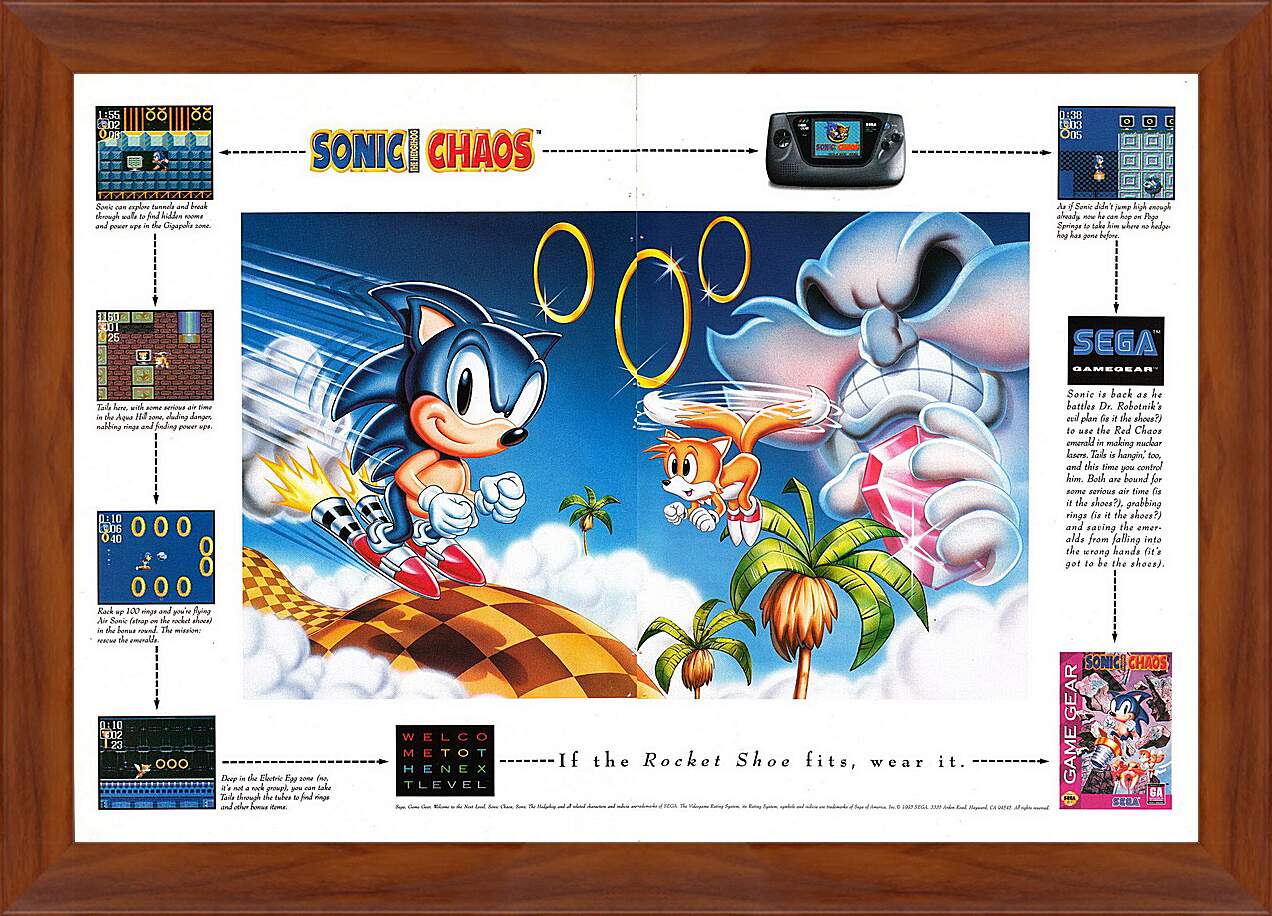 Картина в раме - Sonic Chaos
