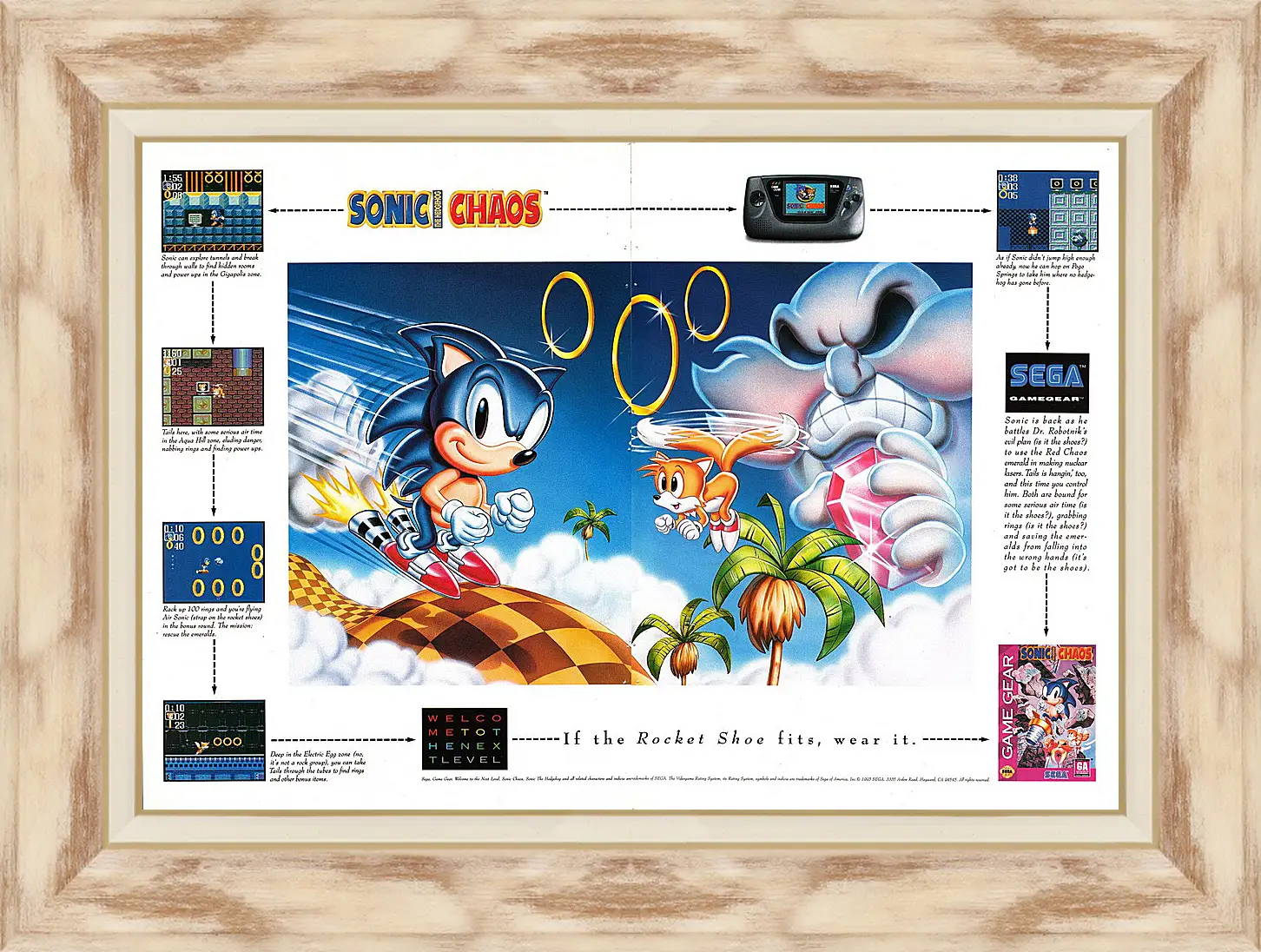 Картина в раме - Sonic Chaos

