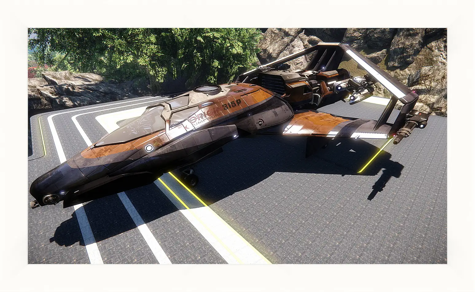 Картина в раме - Star Citizen
