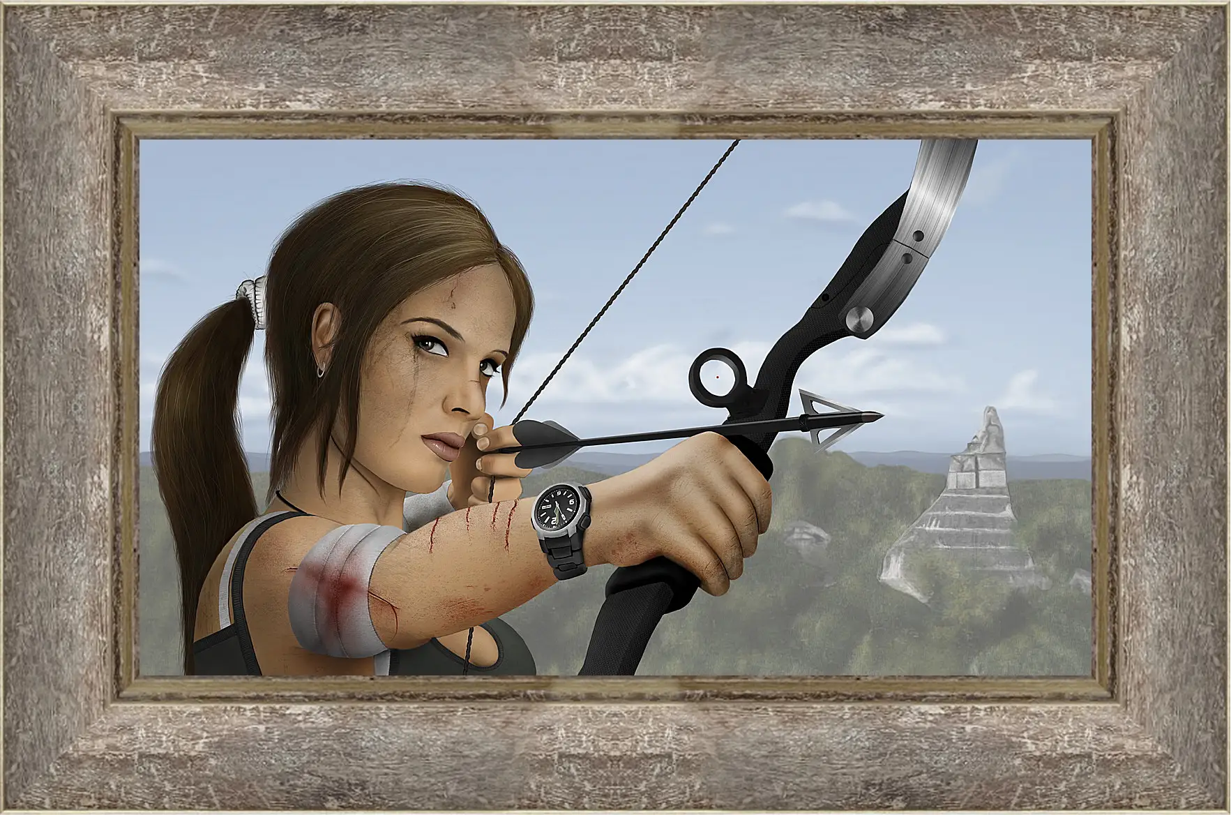 Картина в раме - Tomb Raider