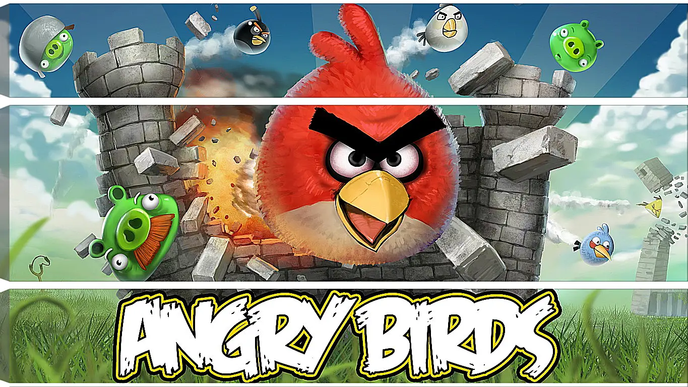 Модульная картина - Angry Birds
