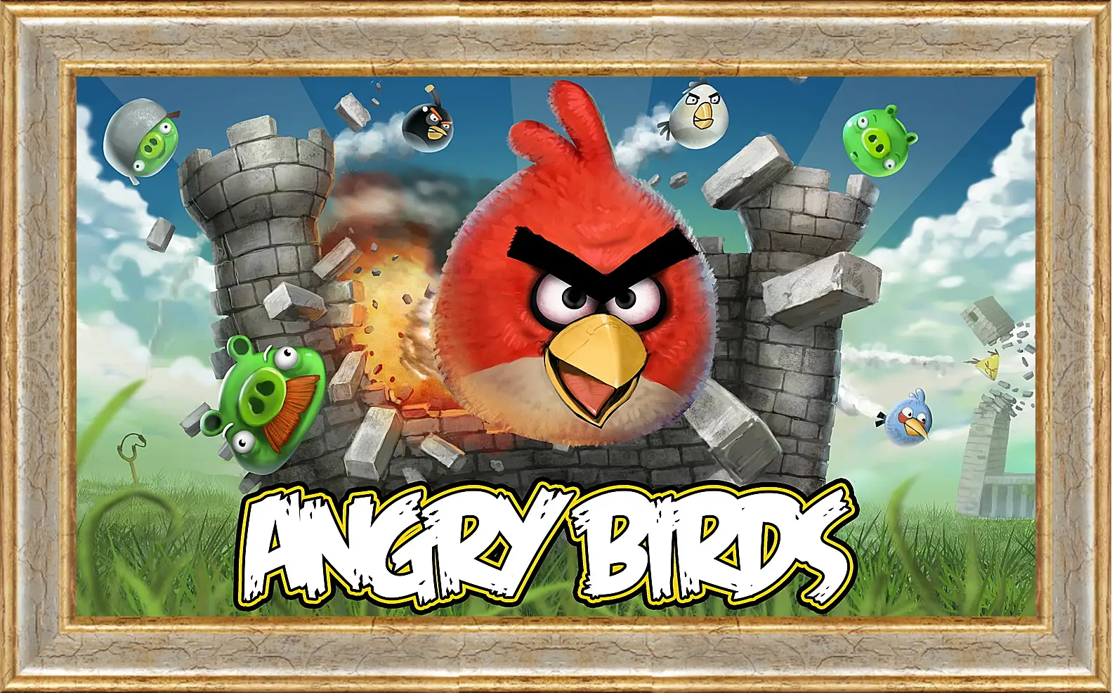 Картина в раме - Angry Birds
