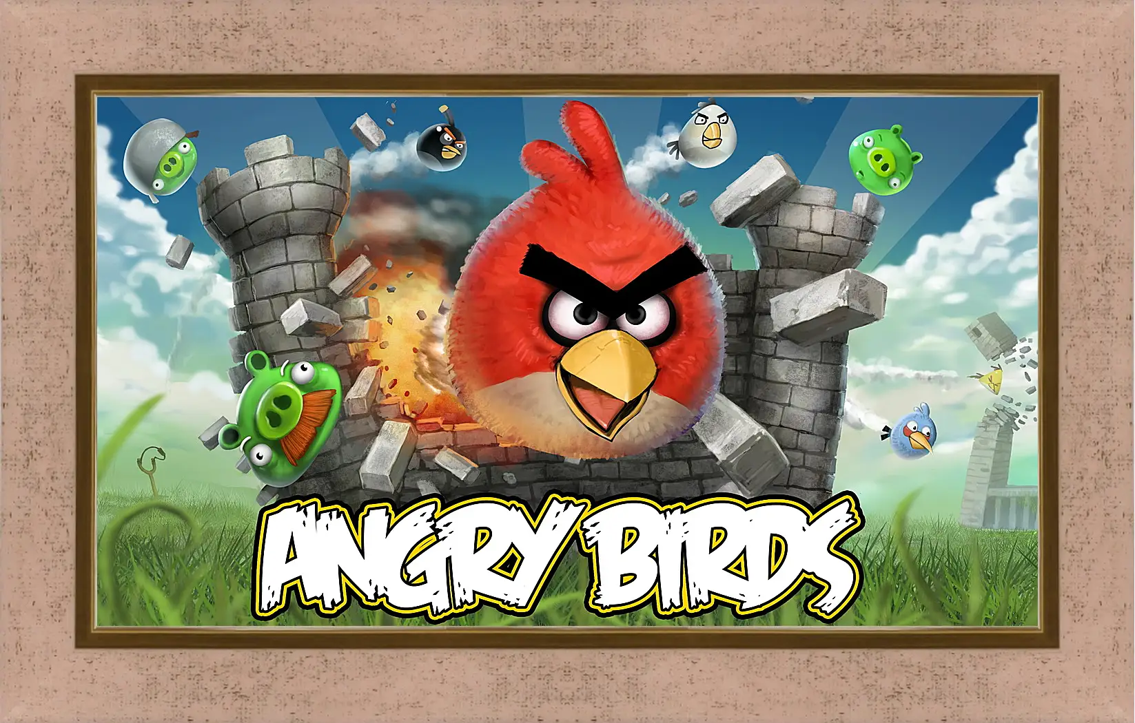 Картина в раме - Angry Birds
