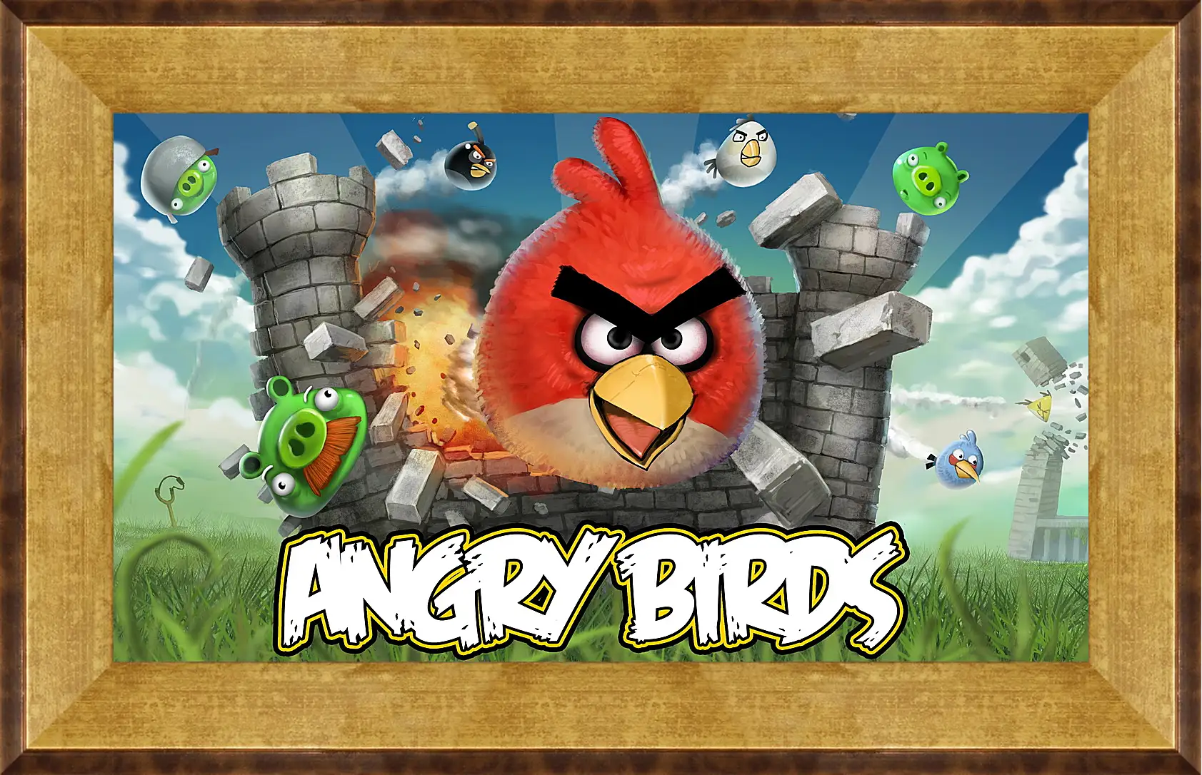 Картина в раме - Angry Birds
